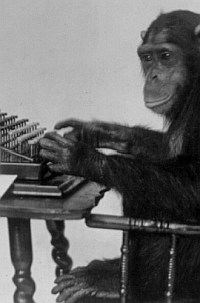 Affe an Schreibmaschine